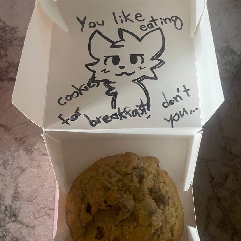 A doodle inside a box holding a chocolate chip cookie. Message that says "You like eating cookies for breakfast, don't you..."