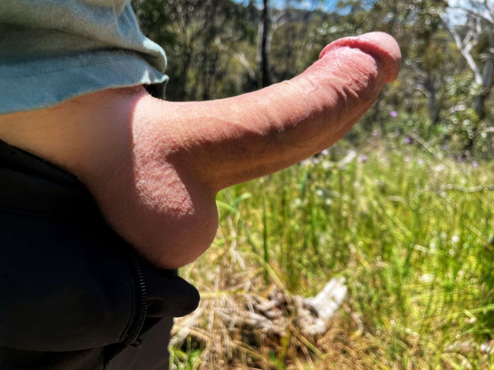 My hard cock sticking out of my pants while I’m hiking, a view of bushland in the background 