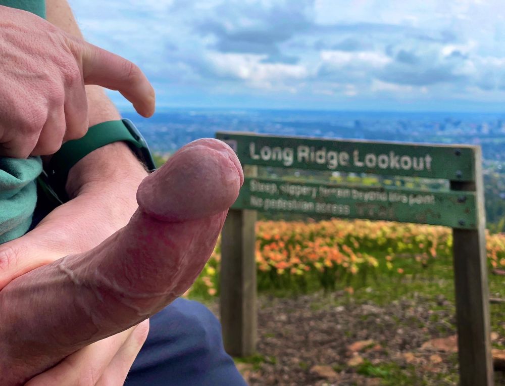 A long hard cock at Long Ridge Lookout