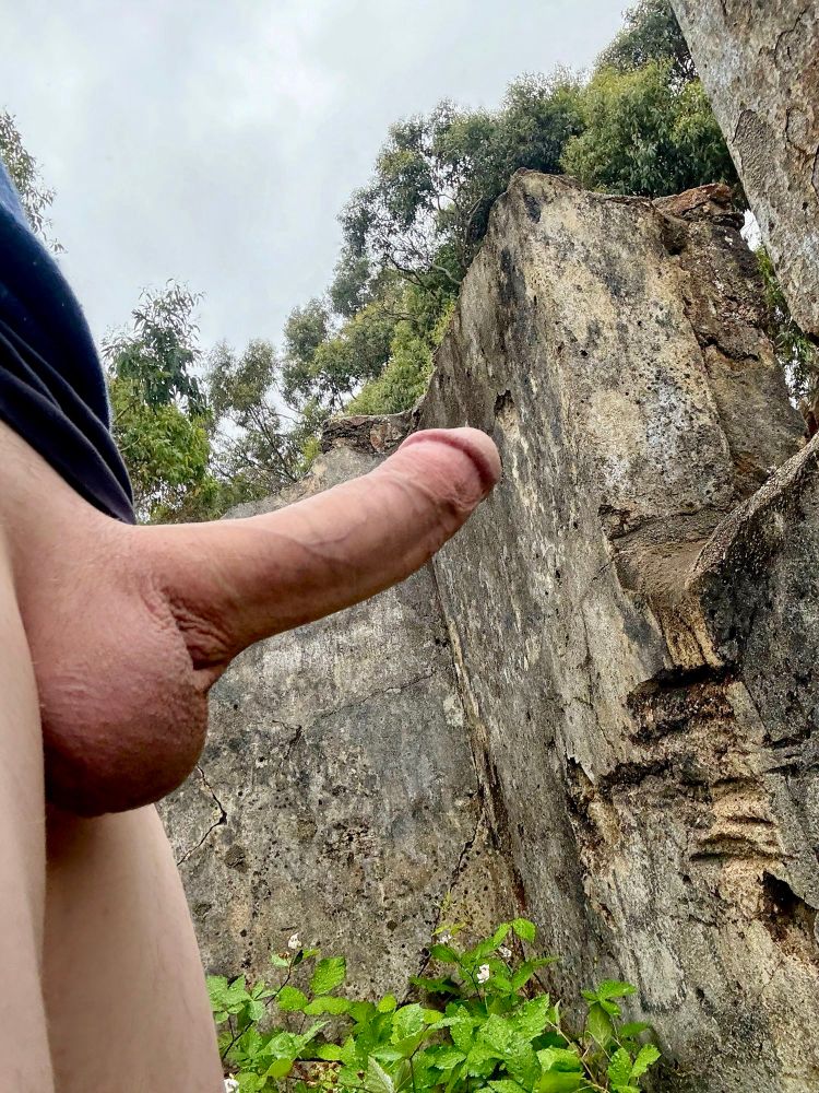 I’m a friendly hiker just pointing out where to head with my hard cock