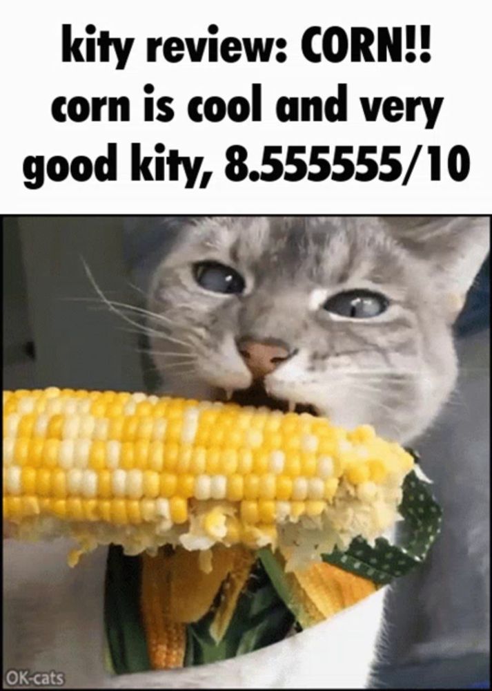 a cat is eating corn on the cob with a caption that says " kity review : corn "