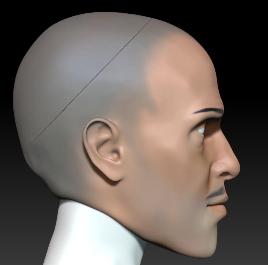 a side profile 3d sculpted head of a man.