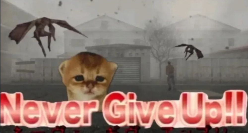 small kitten on scary background that have "Nevef Give Up!!" over it in red text