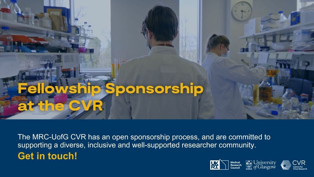 A promotional graphic for fellowship sponsorship at the MRC-University of Glasgow Centre for Virus Research (CVR). The background features two researchers in white lab coats and face masks working in a laboratory. Bold yellow text reads "Fellowship Sponsorship at the CVR." Below, a blue banner contains white text outlining the CVR’s commitment to supporting a diverse and inclusive research community, ending with "Get in touch!" in yellow. Logos for UKRI, the Medical Research Council, the University of Glasgow, and CVR are displayed at the bottom.