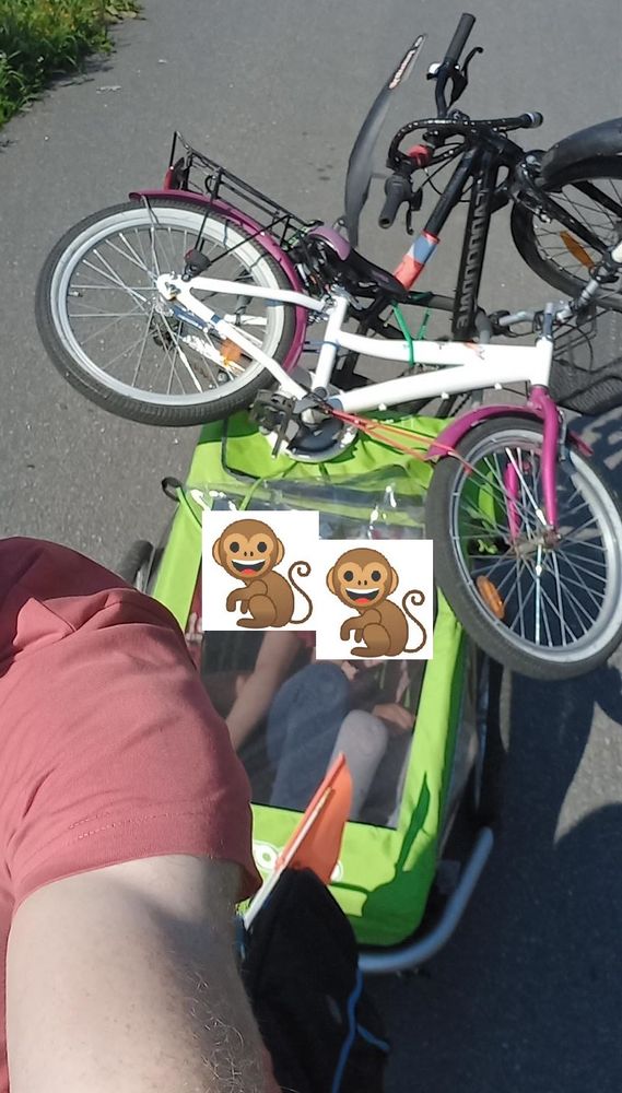 A bike trailer with two kids inside (faces obscured with monkey emojis), one 24 inch bike strapped on top of the trailer, another on the back, both protruding beyond the height and width of the trailer.
