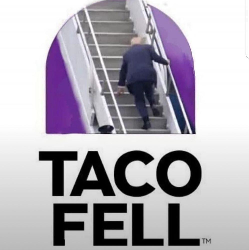 Orangeutang falls in stairs