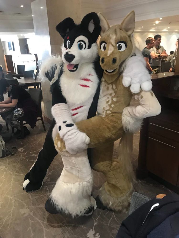 Two mascot costumes, one of a border collie with red scars and one of a Clydesdale horse posing with each other in a hotel bar.