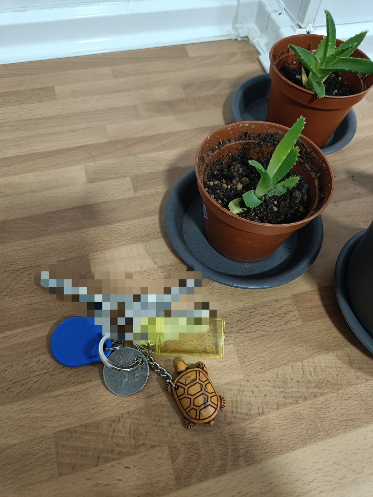 Unas llaves  con unas plantas en una encimera de madera 