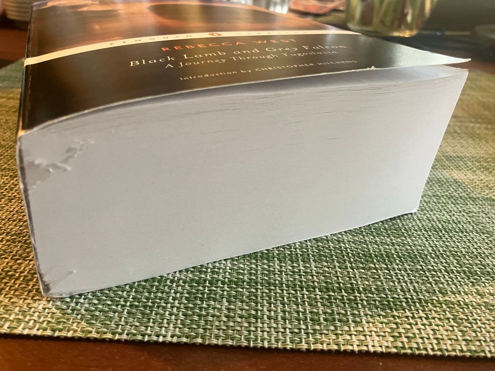 Monster paperback straining against its bindings with a weight of desperate prose 