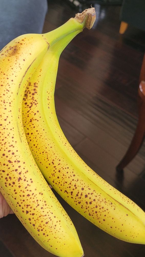 A couple of bananas that are green but have brown spots