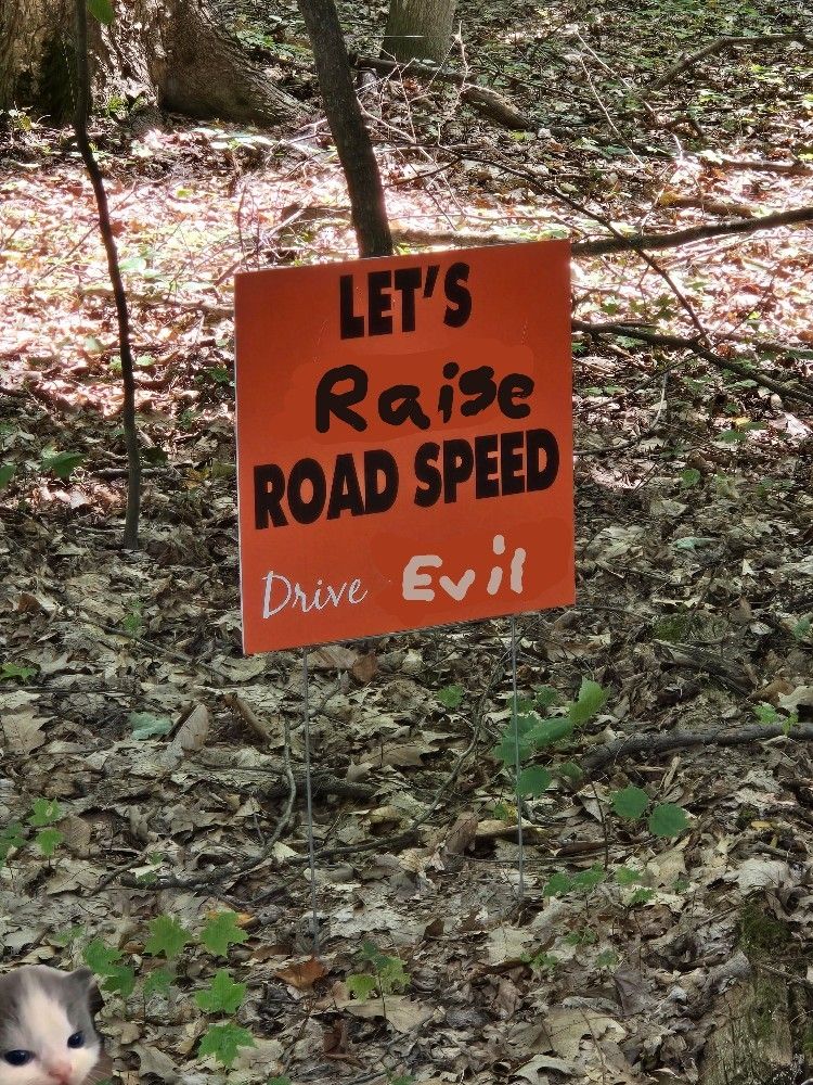 someone painted the sign to say lets raise road speed 

drive evil

bottom left corner evil kitten