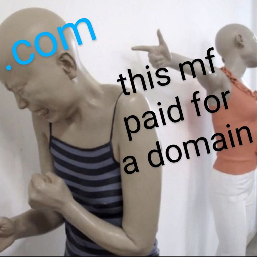 The text ".com this mf paid for a domain" overlaid on the shop dummy Twitter verified meme.