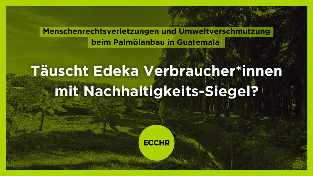 Das Bild zeigt eine Palmöl-Plantage in Guatemala. Darüber liegt folgender Text: Menschenrechtsverletzungen und Umweltverschmutzung beim Palmölanbau in Guatemala. Täuscht Edeka Verbraucher*innen mit Nachhaltigkeits-Siegel?