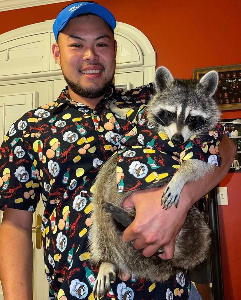 An adorable raccoon.