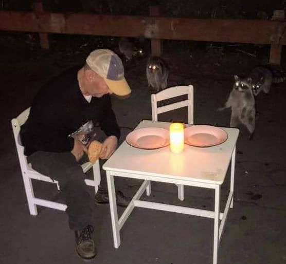 An adorable raccoon.