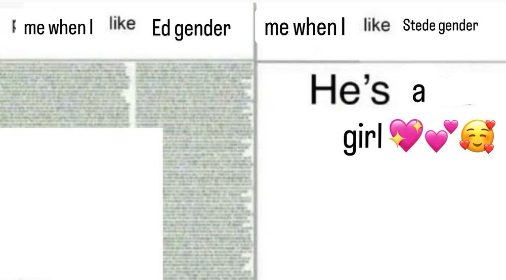 Meme template. Left side says “me when I like Ed gender” followed by a v large block of text that’s too small to read. Right side says “me when I like stede gender” followed by “He’s a girl 💖💕🥰” 