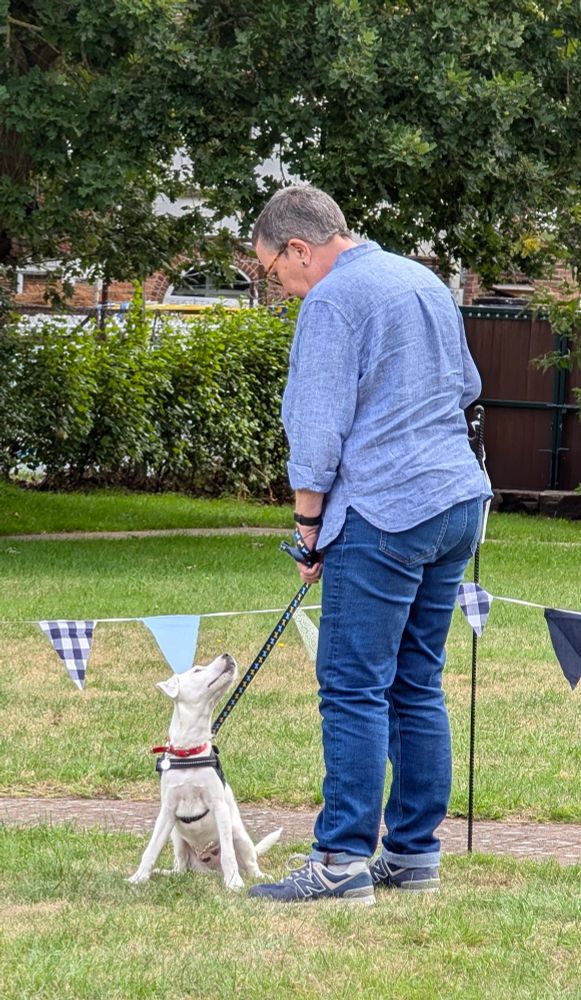 Ted the dog, just about sitting down and looking up at his boss.  
