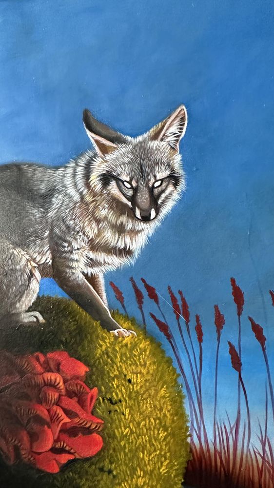 A grey fox standing on a rock with moss and some mushrooms
