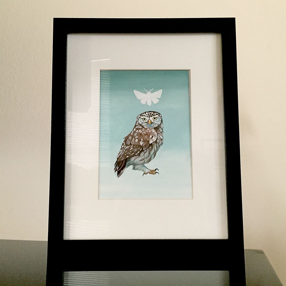 Gouache painting of an owl with a white moth floating over it's head. 