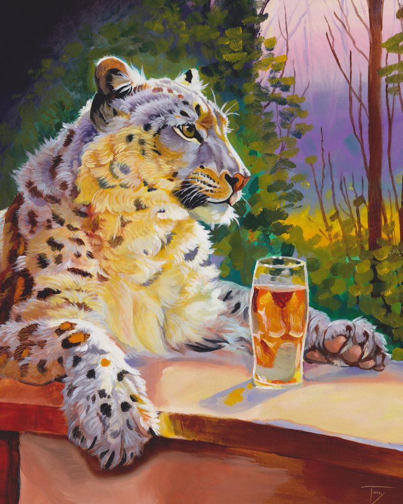 A snow leopard drinking a beer. 