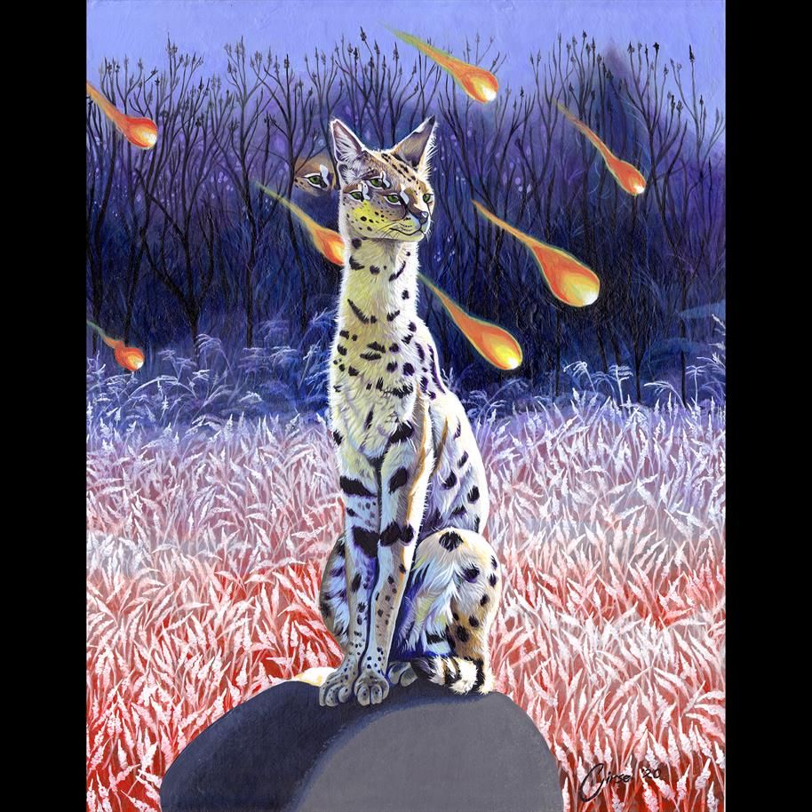 Serval cal standing on a rock, fire balls falling from the sky.