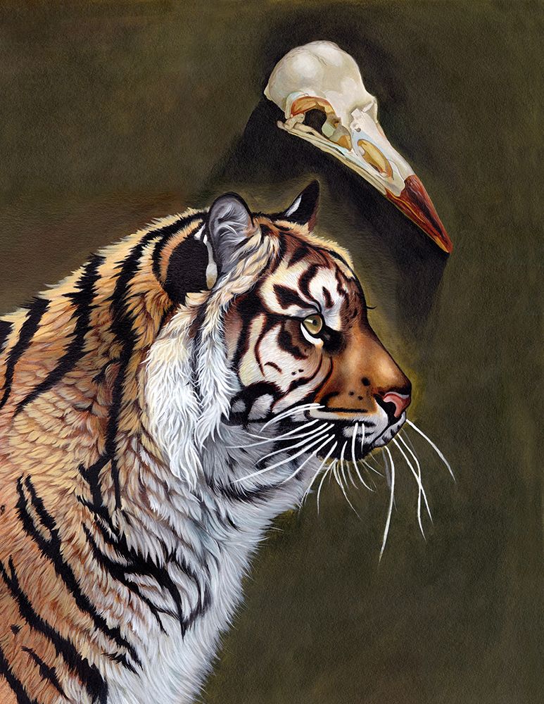 Tiger with a crow skull floating over it's head.