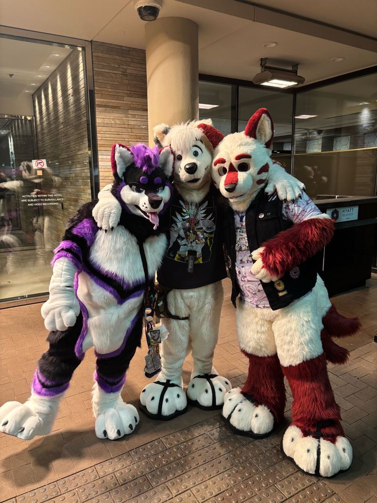 Prey in his new suit, Ceval (in my old folf suit) and me in my kitsune suit at the Hyatt