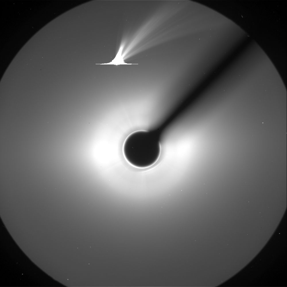 Comment image