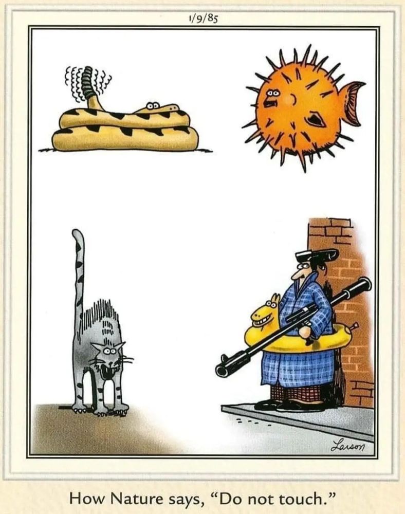 A Gary Larson Far Side cartoon from 1/9/85 features a snake rattling its tail, an inflated and spiky pufferfish, a yowling and hissing cat with arched back, and a man dressed in a blue plaid overcoat, brown checked pants, with a yellow horsie inflatable swim ring around his waist, wearing an upside down black shoe as a hat, and carrying a black rocket launcher. The caption reads, 