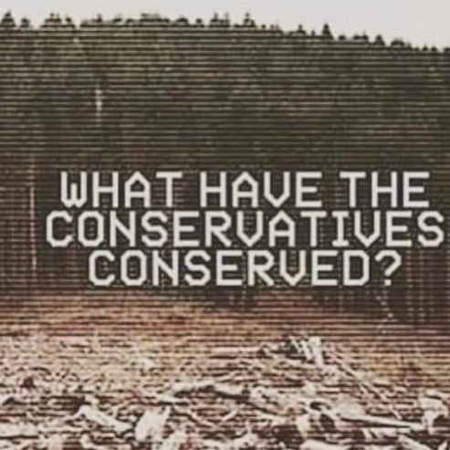 image shows a clear cut forest with the caption, 'what have conservatives conserved?'