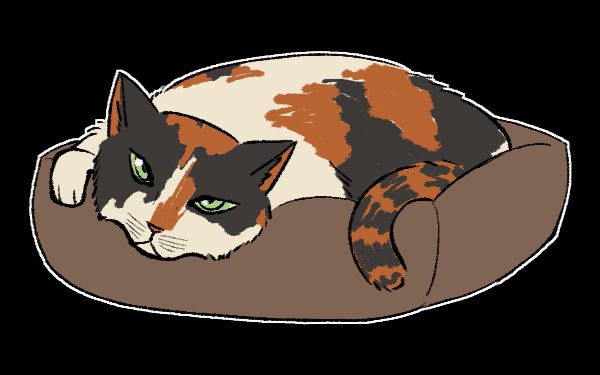A calico kitty poking her head and paw from her bed, she seems annoyed. Her eyes are green
