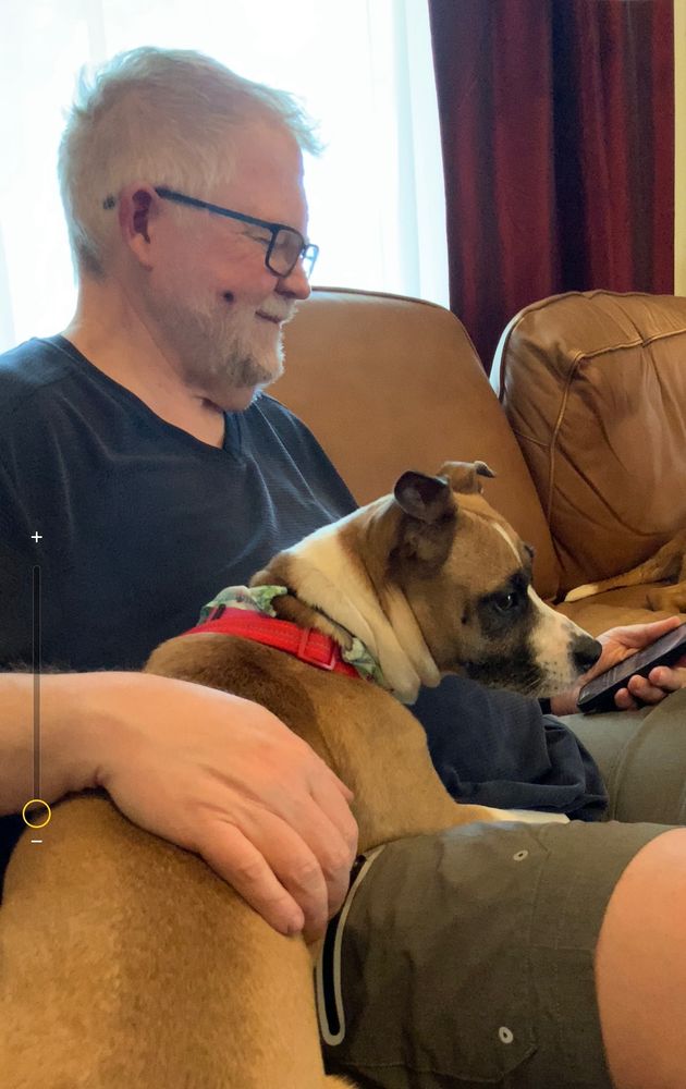 Tan and white dog sitting on a man’s lap 