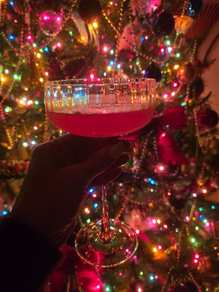 Cosmo in martini glass in front of Christmas tree with ornaments and multi colored lights  