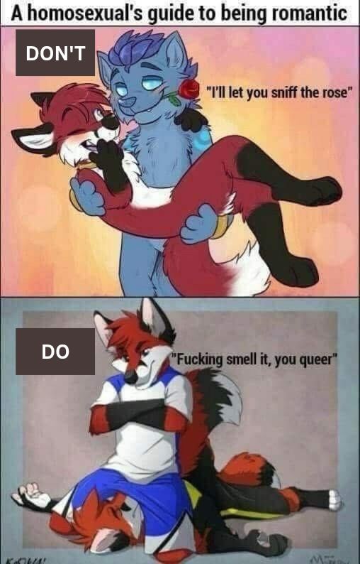 The image is a two-panel meme titled "A homosexual's guide to being romantic."

The top panel, labeled "DON'T," depicts two furry characters (anthropomorphic animals) in a romantic embrace. One, a blue and purple wolf-like creature, gently holds a red rose to the nose of the other, a red fox-like creature, and says, "I'll let you sniff the rose." The overall tone is soft and sweet.

The bottom panel, labeled "DO," shows a different scenario with the same two furry characters now in a more aggressive interaction. The red fox-like creature is lying on top of the blue and purple wolf-like creature, pinning them down. The red fox-like creature forcefully shoves the rose into the other's face and yells, "Fucking smell it, you queer."
