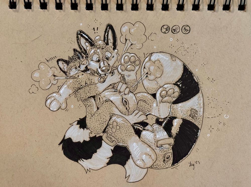 Illustration of a cacomistle hugging, chewing and clawing a pooltoy twin of themselves. It's implied that the pooltoy is a transformed Jay the fox.