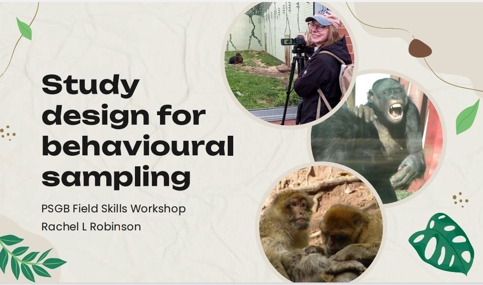 A slide from the interactive lecture