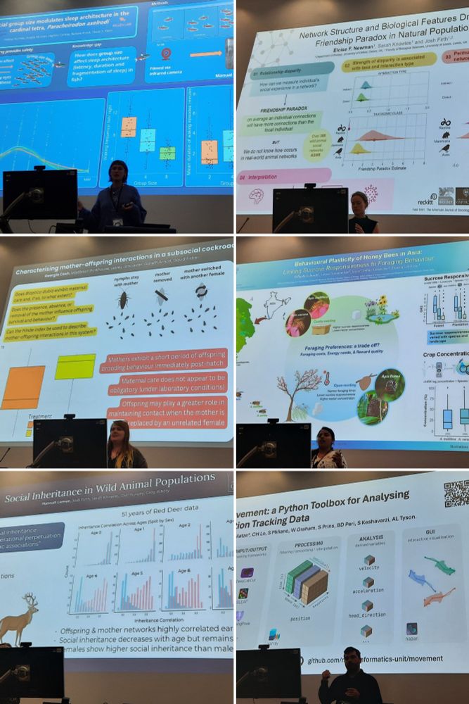 A collage of six slides from the flash talks