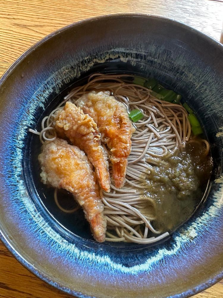 shrimp tempura soba noodles in a dark clay bowl. the bowl shape has a ledge on the interior that catches a beautiful glaze stratification reminiscent of a nebula in space, it encircles the food and looks absolutely electric