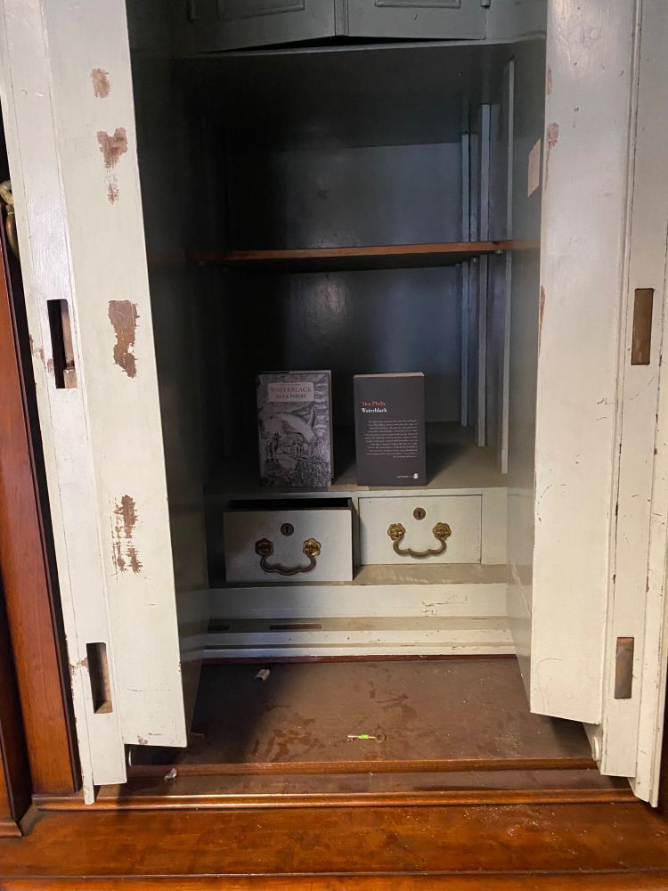 Waterblack copies at Carrow House. Safe!