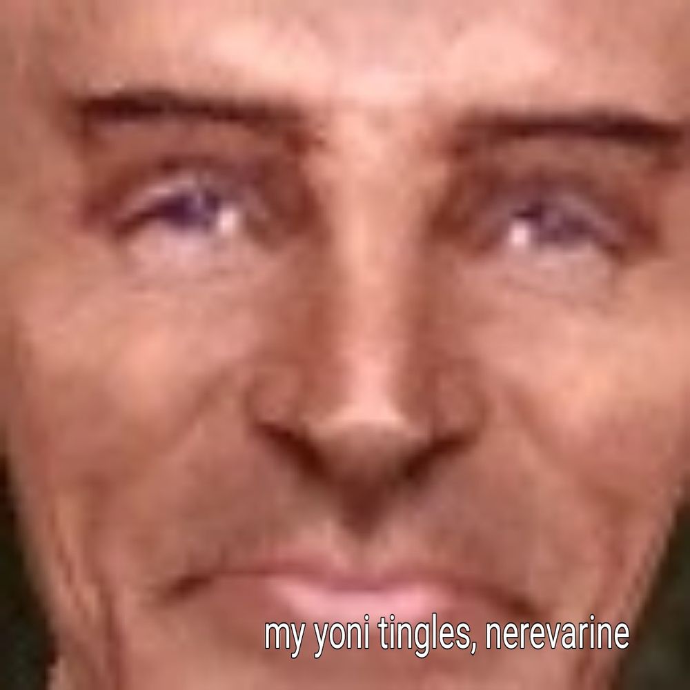 an extremely artifact smeared close up of a screenshot of caius cosades from morrowind saying "my yoni tingles, nerevarine"