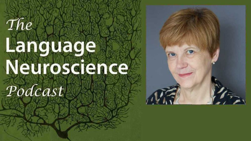 Language Neuroscience Podcast Episode 29: Developmental language disorder and its neural basis with Dorothy Bishop