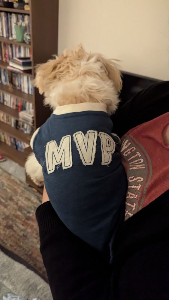 Back view of a small fluffy dog with a t-shirt on that says "MVP". 