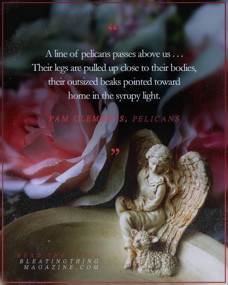 A soapdish sits under a canopy of fabric roses, the dish carved with the small figurine of an angel in a frock gazing down at the lamb nestled at her feet. Above their heads, a quote from "Pelicans" by Pam Clements: 

"
A line of pelicans passes above us . . . 
Their legs are pulled up close to their bodies, their outsized beaks pointed home in the syrupy light.

"

Read the issue
BLEATINGTHINGMAGAZINE.COM