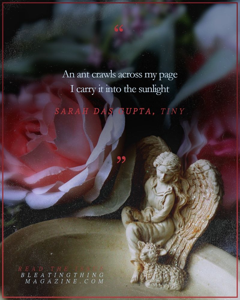 A soapdish sits under a canopy of fabric roses, the dish carved with the small figurine of an angel in a frock gazing down at the lamb nestled at her feet. Above their heads, a quote from "Tiny" by Sara Das Gupta: 

"
An ant crawls across my page
I carry it into the sunlight

"

Read the issue
BLEATINGTHINGMAGAZINE.COM