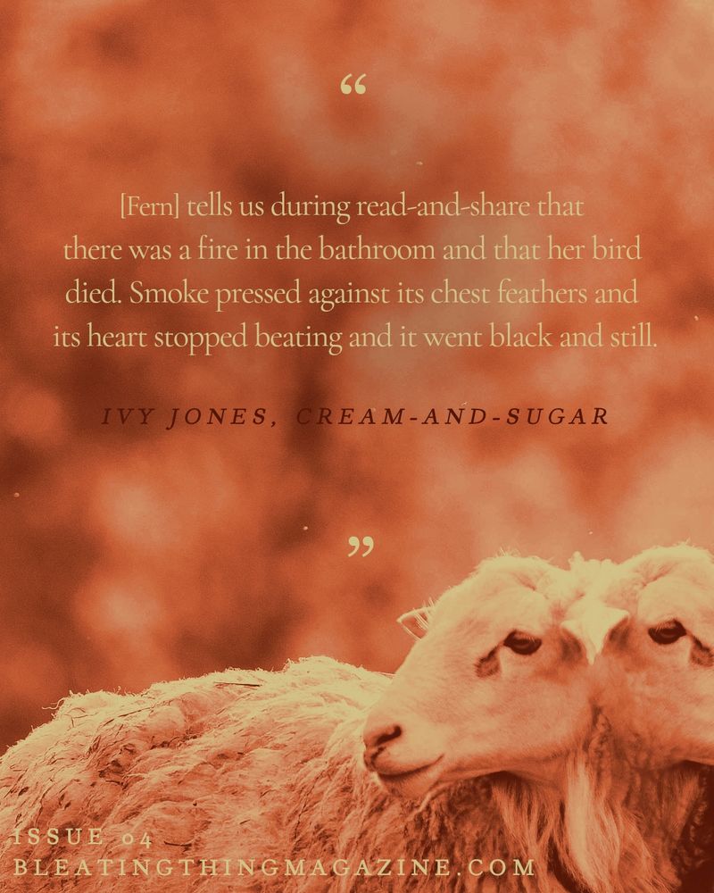 A red-and-yellow toned image of a two-headed sheep standing in a field, against a backdrop of trees. 

The text reads:

"[Fern] tells us during read-and-share that there was a fire in the bathroom and that her bird died. Smoke pressed against its chest feathers and its heart stopped beating and it went black and still."

- Ivy Jones, Cream-and-Sugar

ISSUE 04
BLEATINGTHINGMAGAZINE.COM