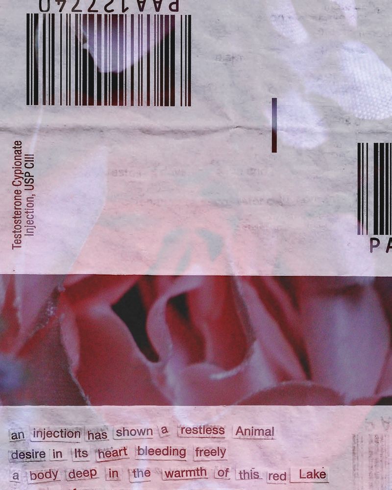 Through a gauze of roses, a clipping of a medicine label for testosterone is visible. Below, a collage of the first few lines of a poem:

an injection has shown a restless Animal
desire in its heart bleeding freely
a body deep in the warmth of this red Lake 
