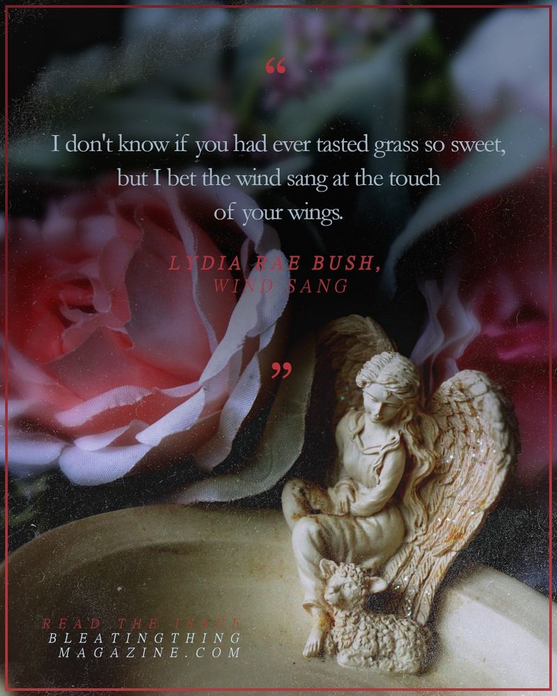 A soapdish sits under a canopy of fabric roses, the dish carved with the small figurine of an angel in a frock gazing down at the lamb nestled at her feet. Above their heads, a quote from Lydia Rae Bush's "Wind Sang": 

"
I didn't know if you had ever tasted grass so sweet,
but I bet the wind sang at the touch
of your wings

"

Read the issue
BLEATINGTHINGMAGAZINE.COM