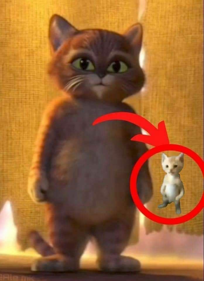 Comment image