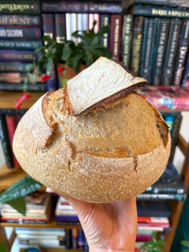 A White person’s hand holding a load of sourdough bread in front of a shelf filled with books.