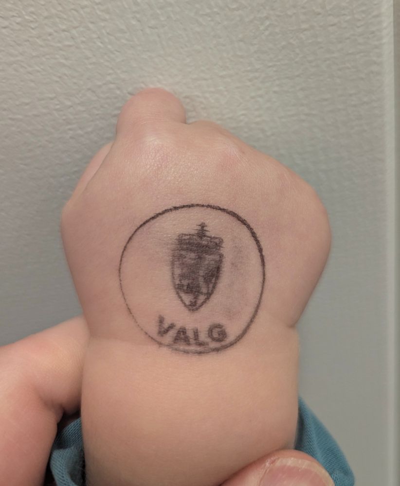 Baby fist with stamp saying "Election" 